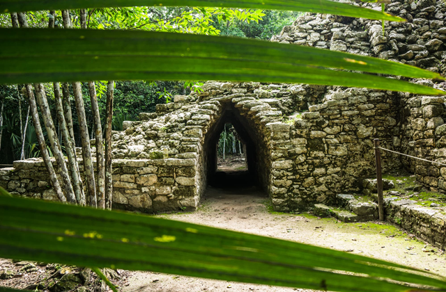 Mexico Mayan History & Culture & Nature Tour (Coba & Punta Laguna Nature Reserve & Cenote Visit)