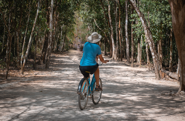 Mexico Mayan History & Culture & Nature Tour (Coba & Punta Laguna Nature Reserve & Cenote Visit)