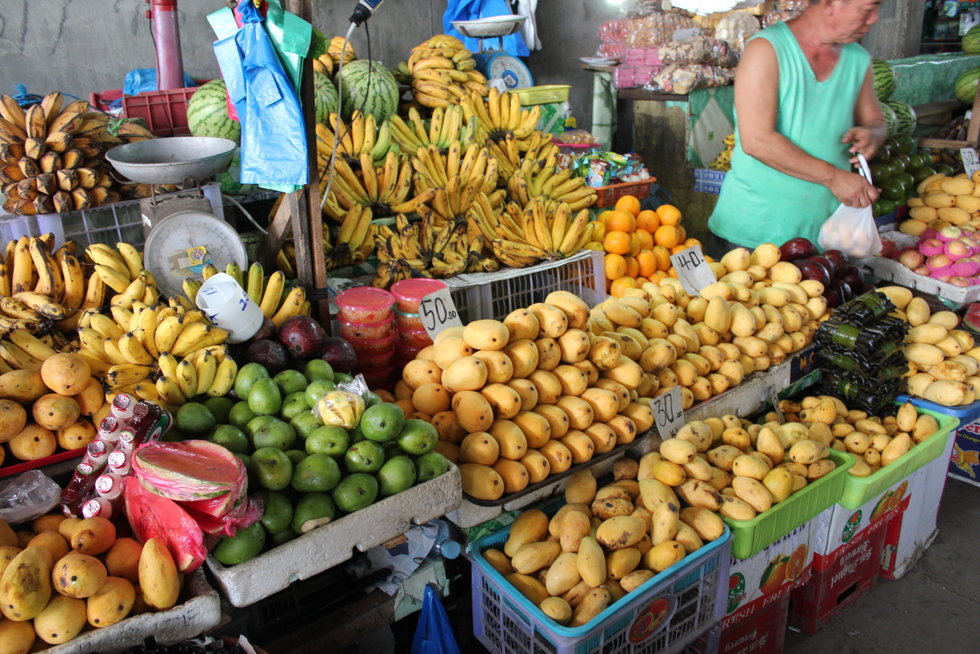 세부 모알보알 투어 (바다 거북이, 정어리 떼 스노클링 / 화이트 비치)