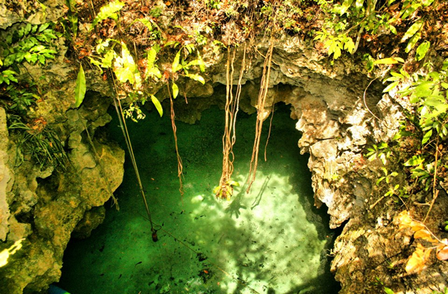 Mexico: Mayan Underworld Cenotes & Snorkeling Half-Day Tour