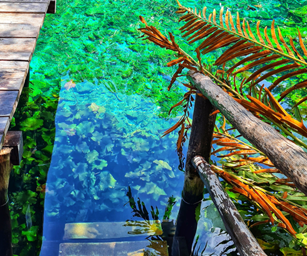 activity_detail_image