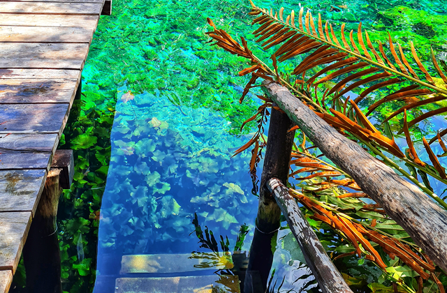 Tulum Ruins, Jungle Adventure & Cenote Half-Day Tour in Mexico