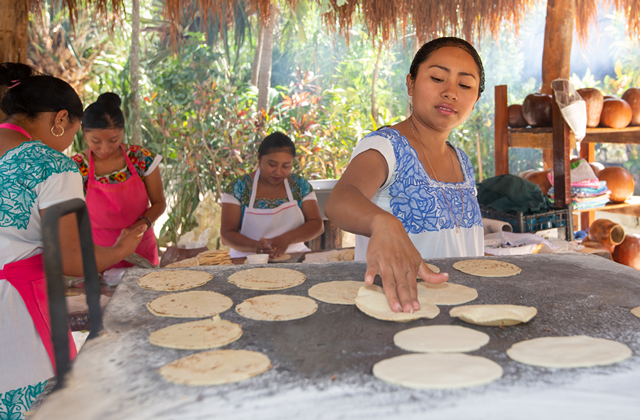 Tulum Ruins, Jungle Adventure & Cenote Half-Day Tour in Mexico