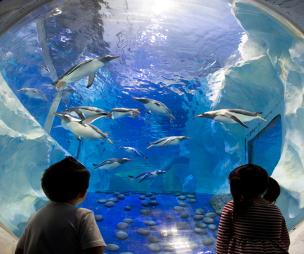 activity_detail_image