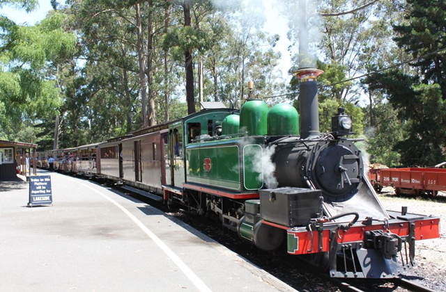 [오지나라] 그레이트 오션로드 & 퍼핑빌리 증기 기관차 투어 by 오지나라 (최신 차량, 전문 가이드)