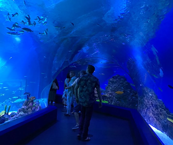 activity_detail_image