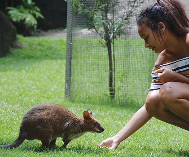 activity_detail_image