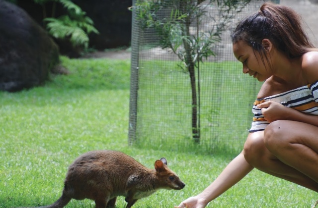 activity_detail_image