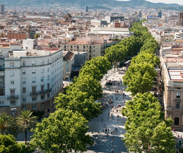 activity_detail_image