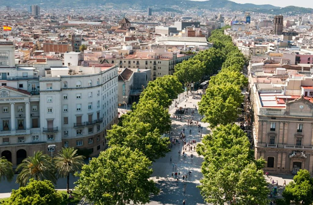 바르셀로나 고딕 지구 & 플라멩고 소규모 투어