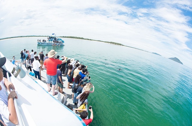 Sydney Port Stephens Sand Dune Adventure Tour (Sandboarding, Wine & Dolphin Watching Cruise)