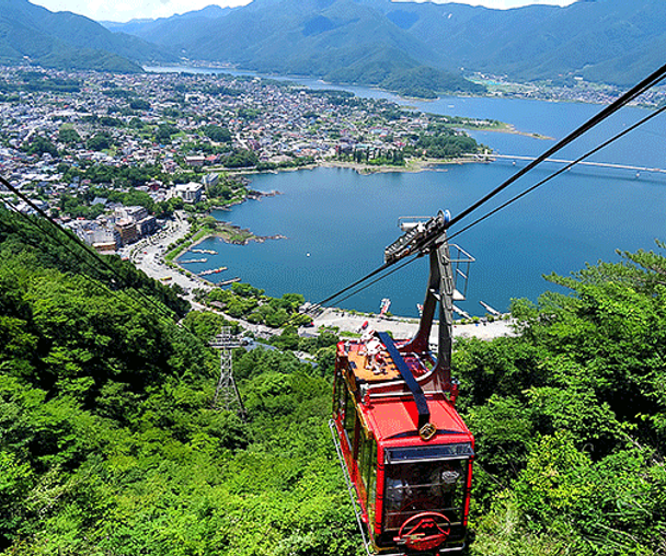 activity_detail_image