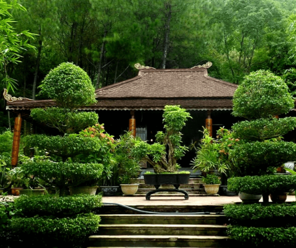 activity_detail_image