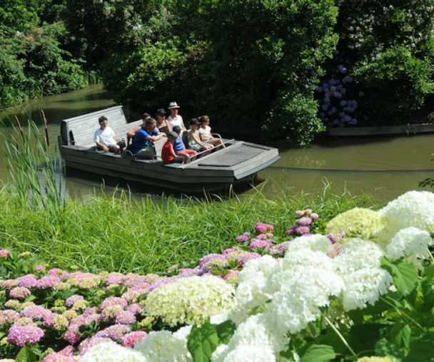 activity_detail_image