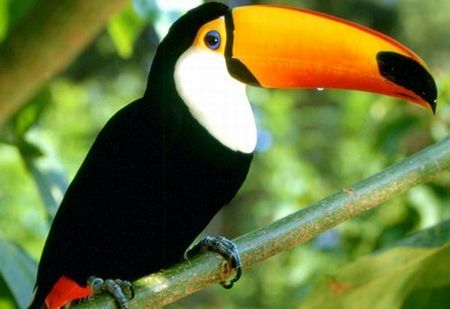 activity_detail_image