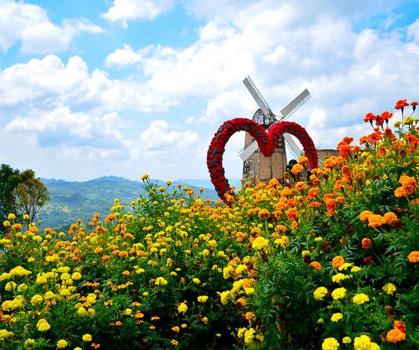 activity_detail_image