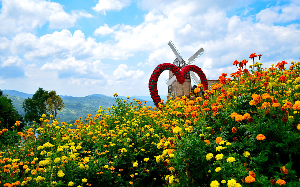 Cebu City: Sirao Garden Private Car Tour