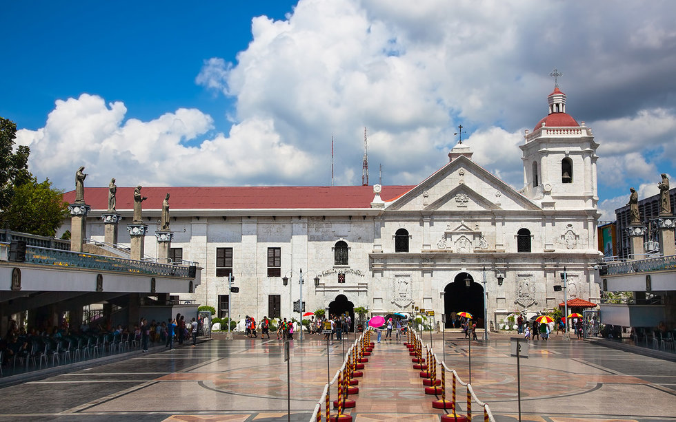 Cebu City: Sirao Garden Private Car Tour