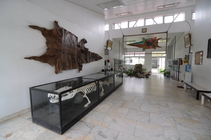 Palawan: Half-Day City Tour