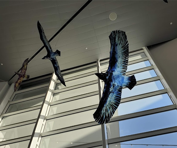 activity_detail_image