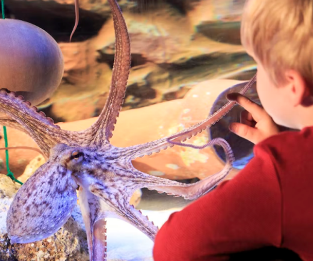 activity_detail_image