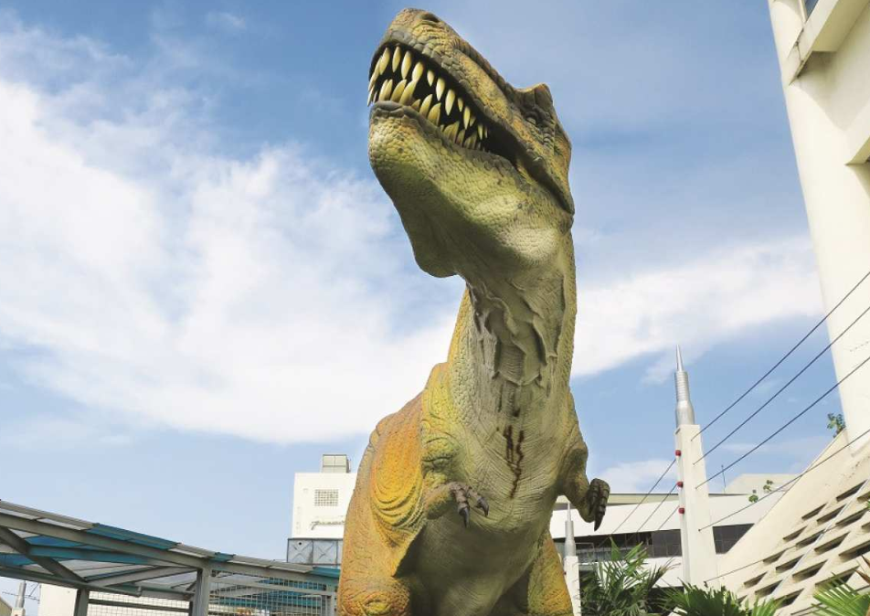 The Top Penang Observation Deck Ticket