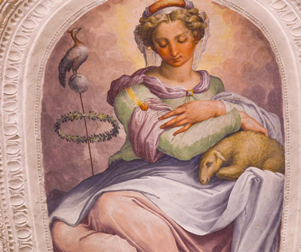 activity_detail_image