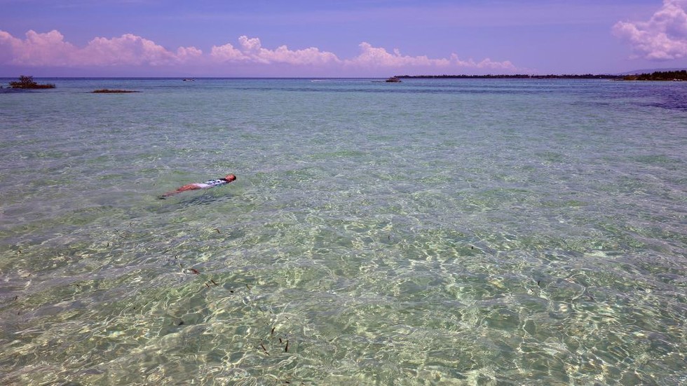 Bohol: Balicasag Island Dolphin Watching Private Hopping Tour (with GoPro Video & Photo)