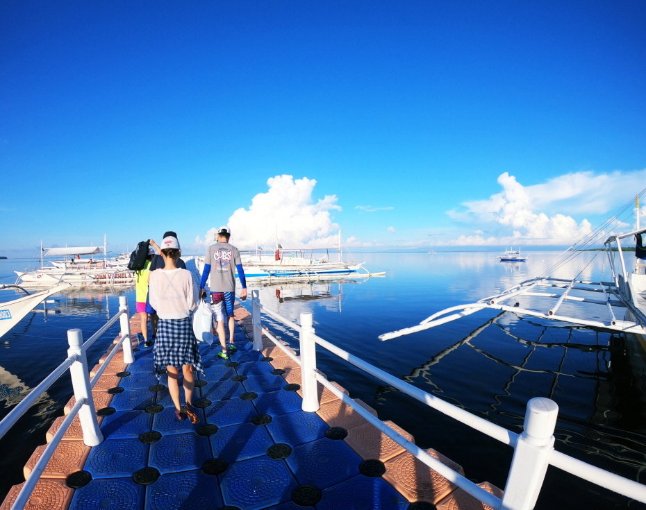 Bohol: Balicasag Island Dolphin Watching Private Hopping Tour (with GoPro Video & Photo)