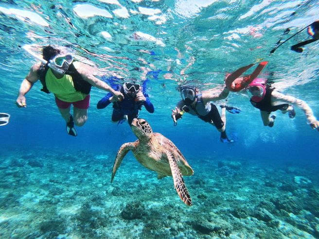 Bohol: Balicasag Island Dolphin Watching Private Hopping Tour (with GoPro Video & Photo)