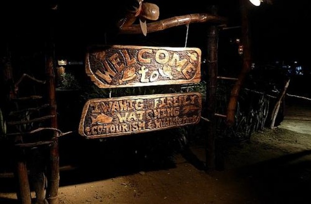 Puerto Princesa, Palawan: Firefly Watching Tour