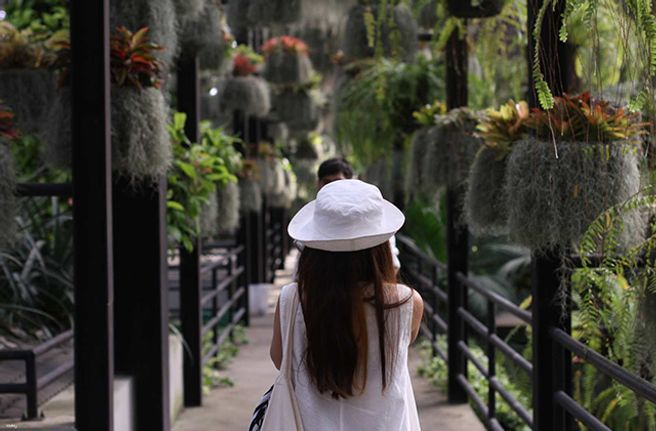 Pattaya Nong Nooch Village Ticket