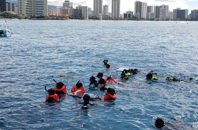 [한인가이드] 하와이 거북이 스노클링, 5종 해양 액티비티 (무료 픽업)