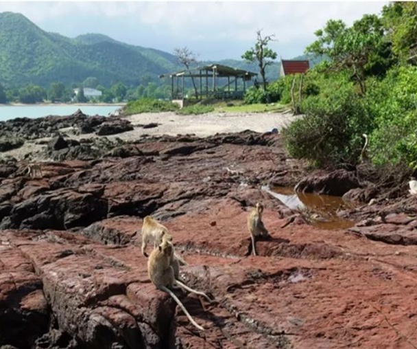 activity_detail_image