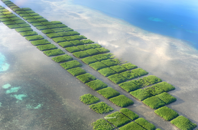 세부 보홀 경비행기 투어