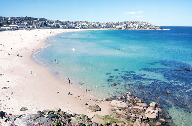 [놀러와시드니] 시드니 시티 & 본다이 비치 & 동부 해안 투어