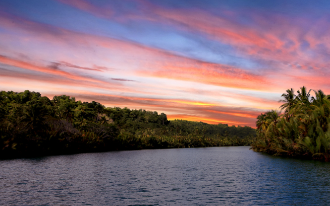 ボホール・アバタン川星空ホタルカヤックプライベートツアー