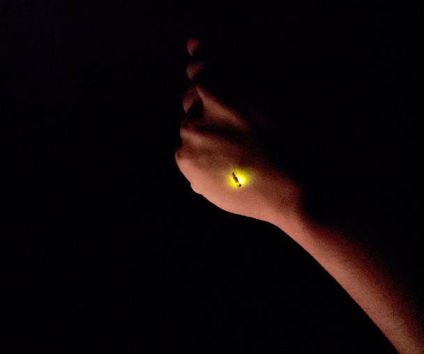 activity_detail_image