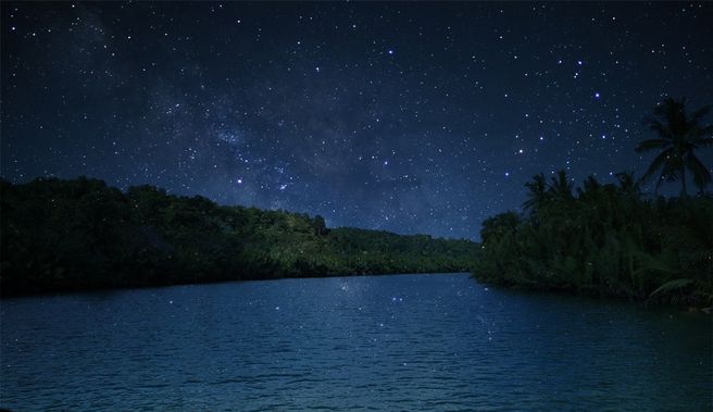 Bohol Abatan River Starlight Firefly Kayak Private Tour