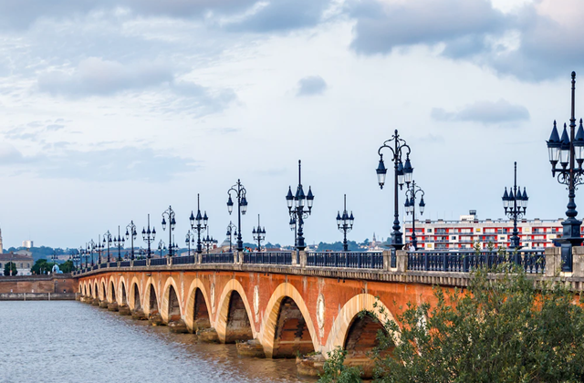 ボルドー：ガロンヌ川ガイド付きクルーズ（ドリンク＆カヌレ付き）