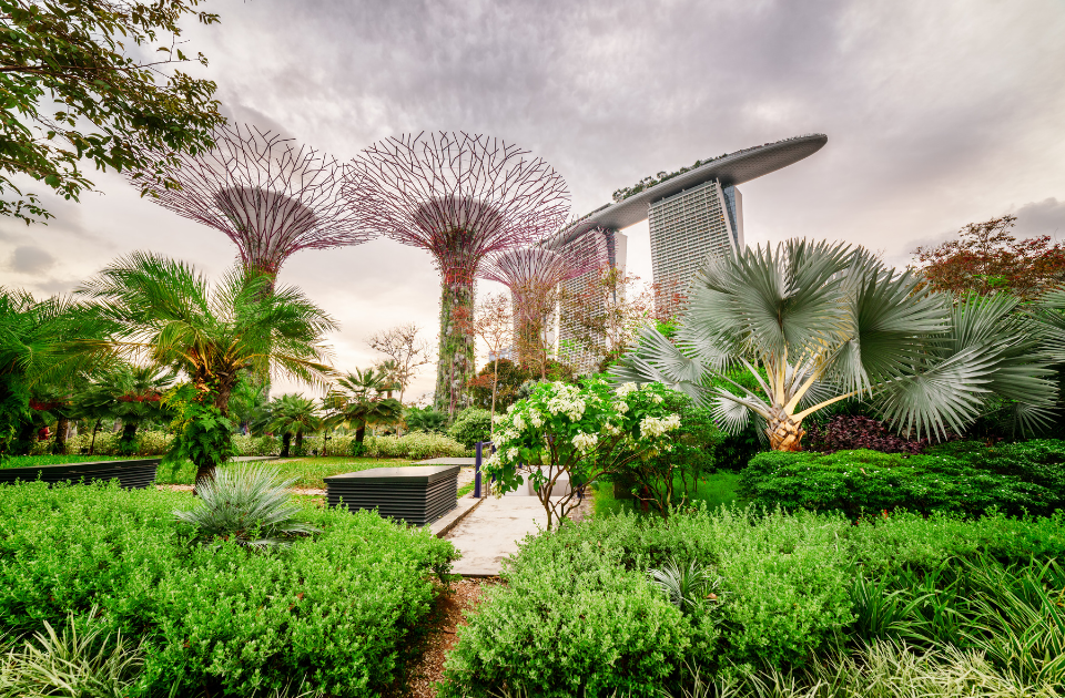 싱가포르 15일 LTE 100GB SIM (창이공항 픽업)