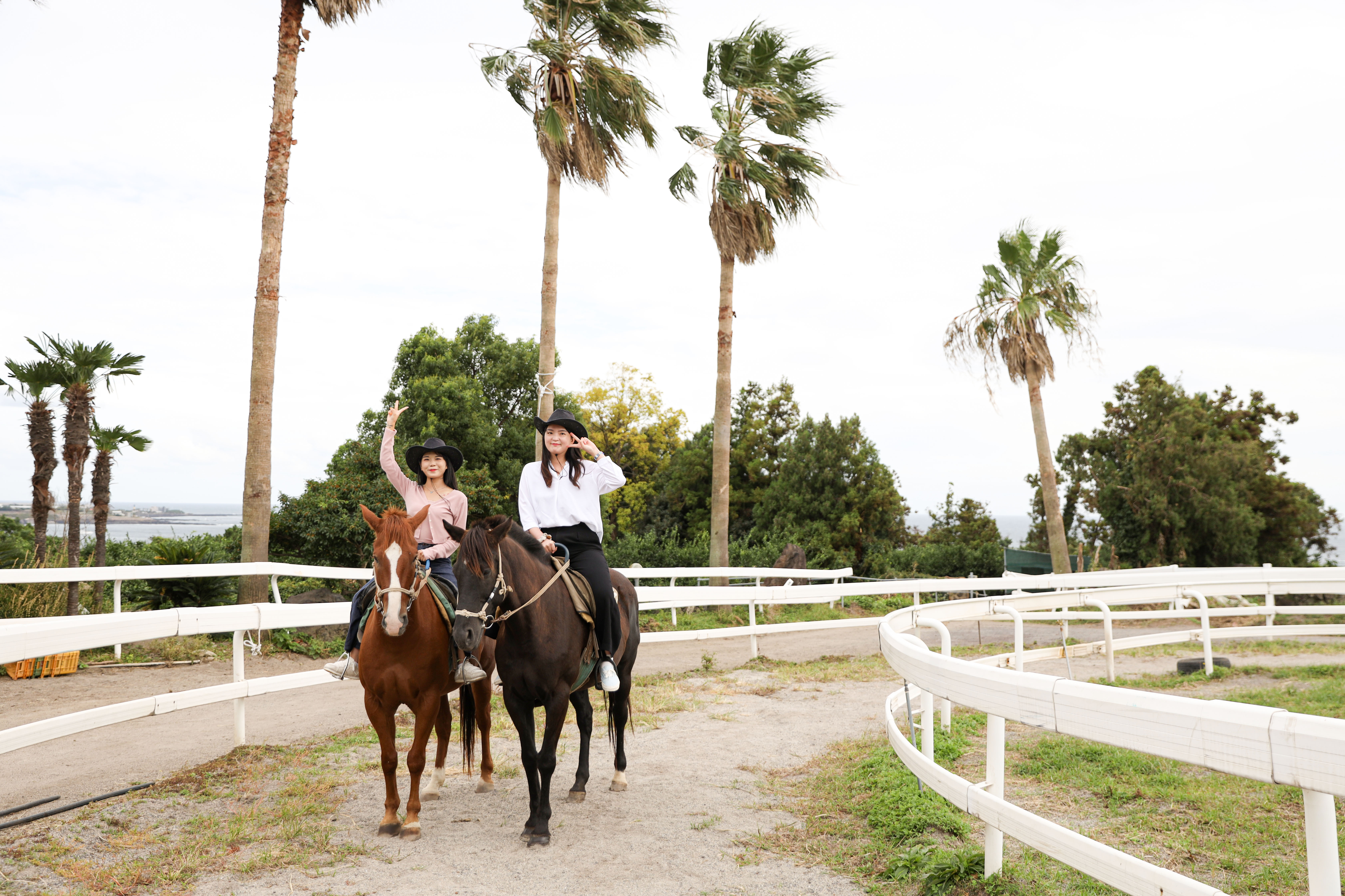 제주 중문 승마공원 해변 & 올레코스 승마 체험