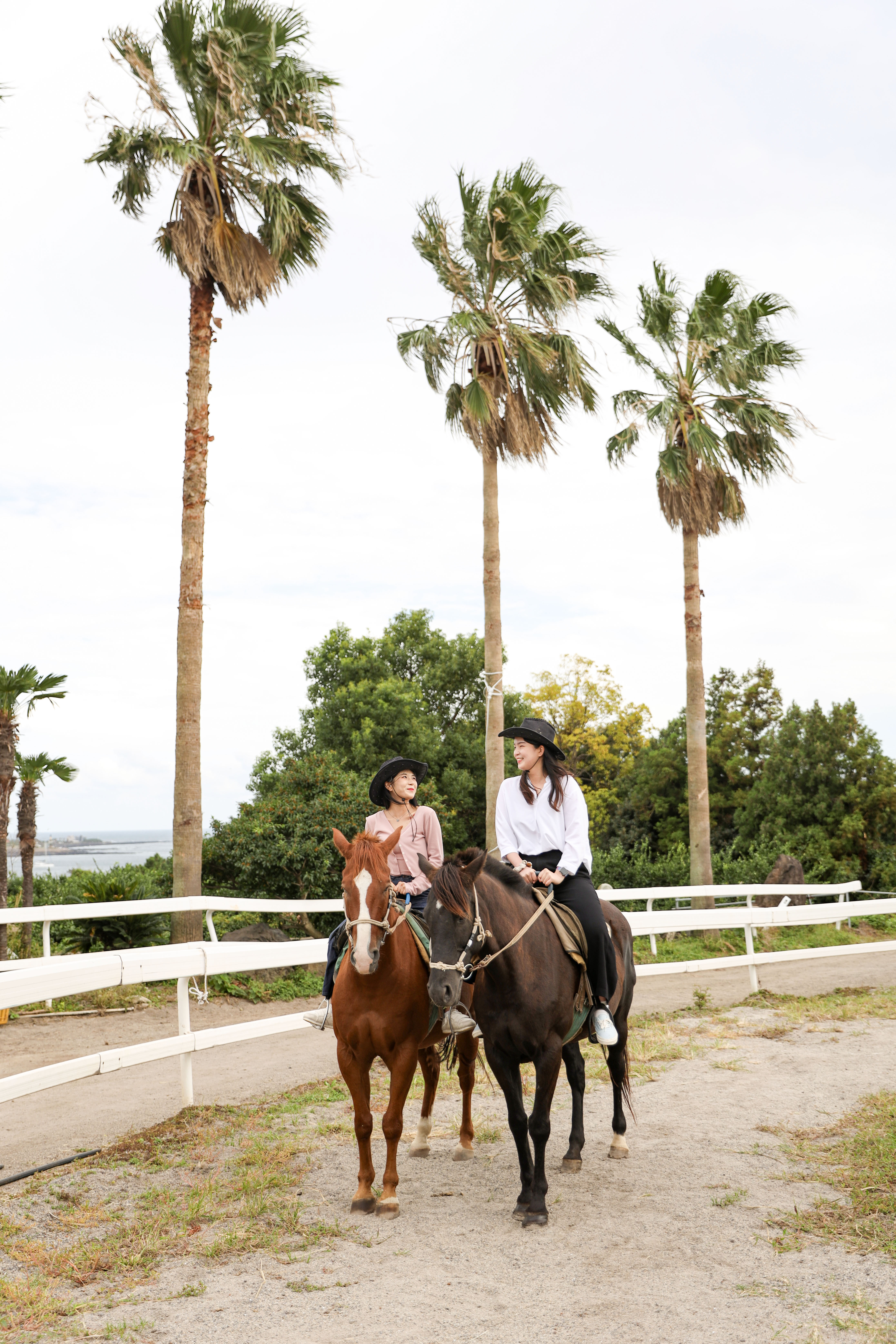 제주 중문 승마공원 해변 & 올레코스 승마 체험