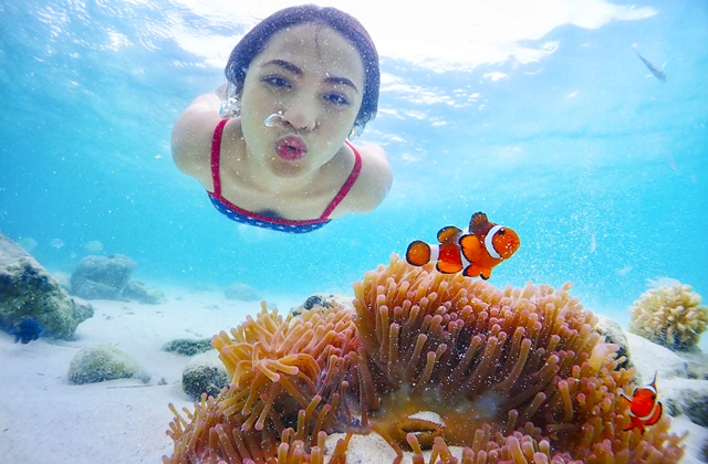 파타야 니모섬 스노클링 단독 투어 (파타야 출발)