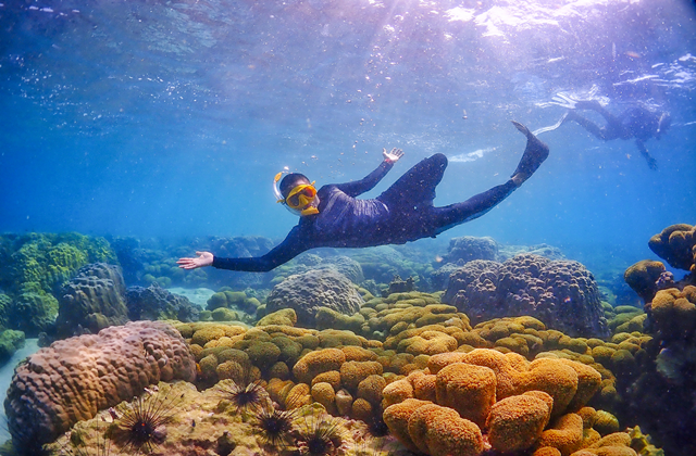 파타야 니모섬 스노클링 단독 투어 (파타야 출발)