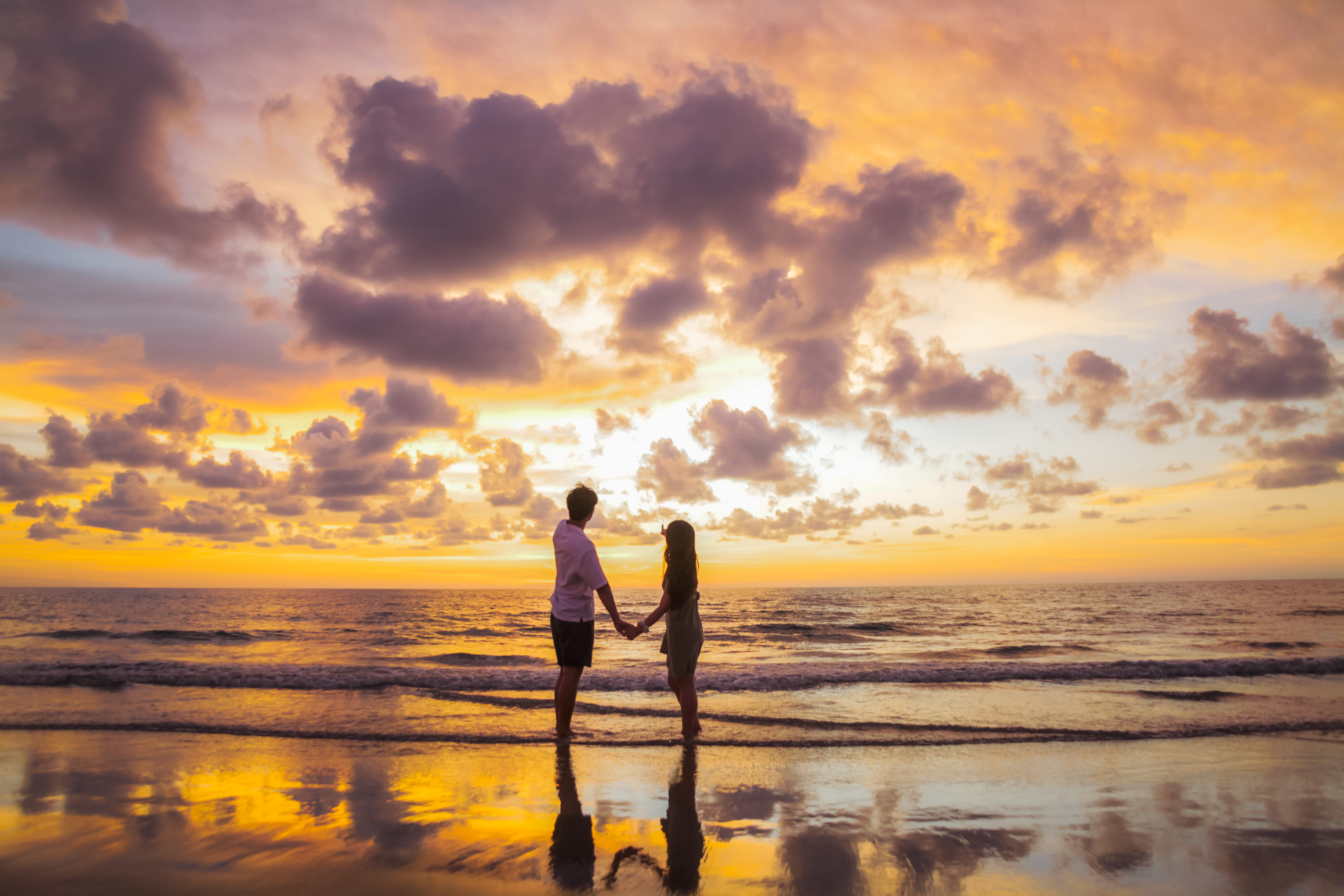 코타키나발루 수림 반딧불 투어 (비오비투어)