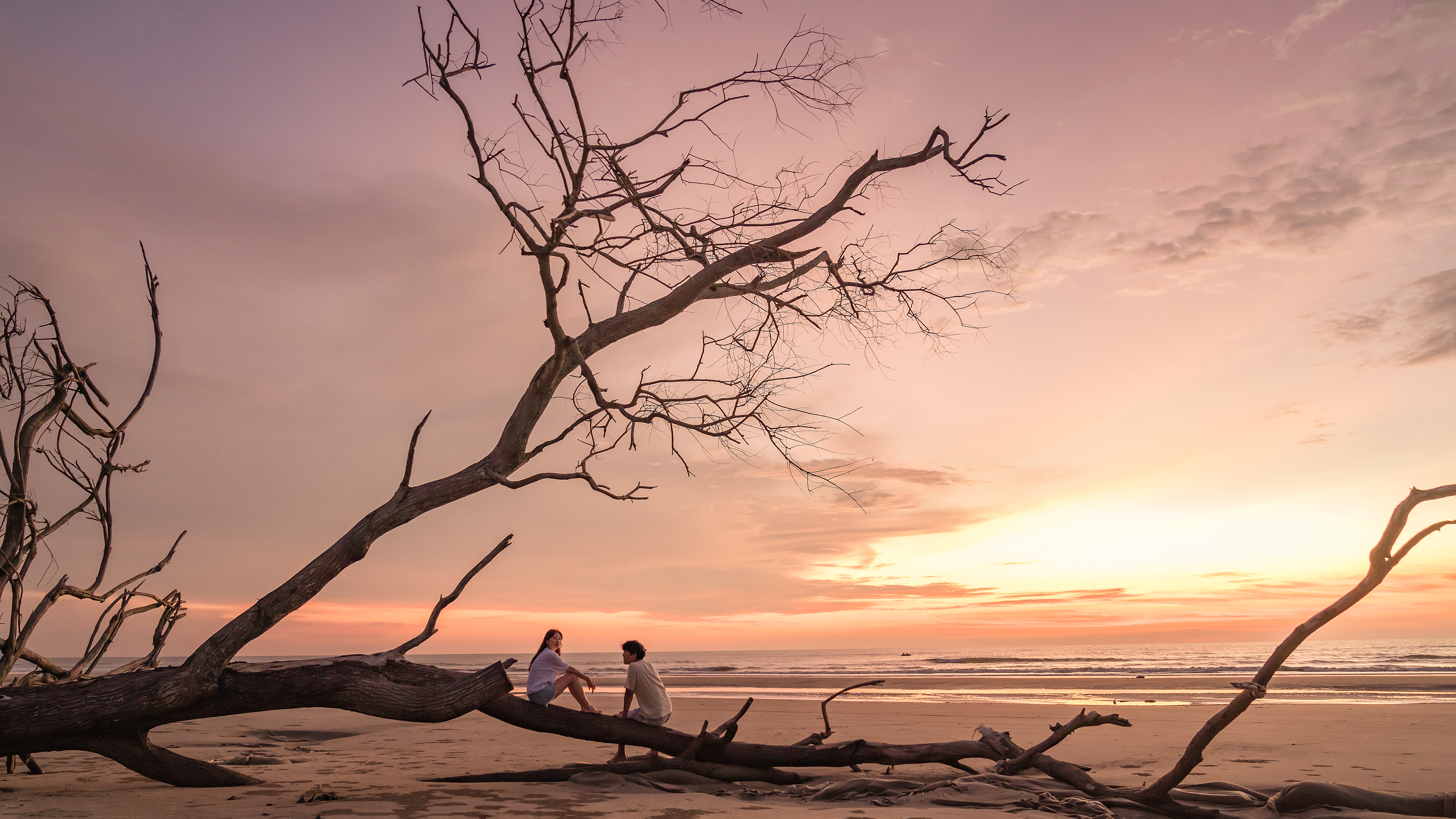 코타키나발루 스냅 작가와 함께 럭셔리 반딧불 투어 (마사지 포함)