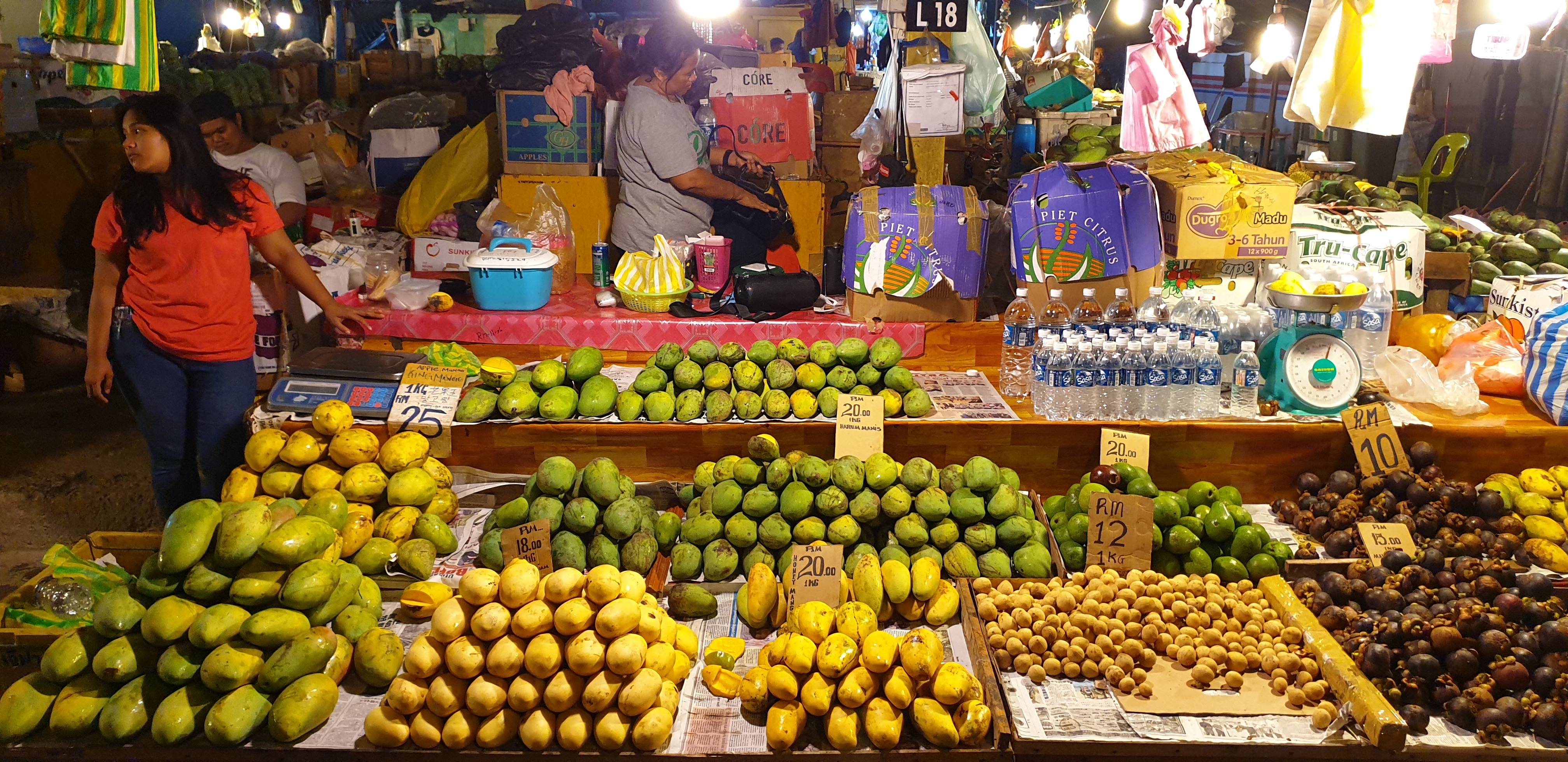 코타키나발루 출국 풀패키지 단독 투어 (시티투어, 스냅투어, 반딧불투어, 마사지, 공항샌딩)