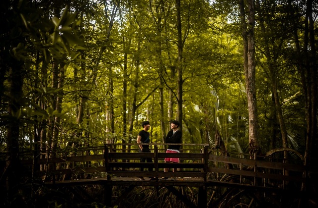 코타키나발루 출국 풀패키지 단독 투어 (시티투어, 스냅투어, 반딧불투어, 마사지, 공항샌딩)