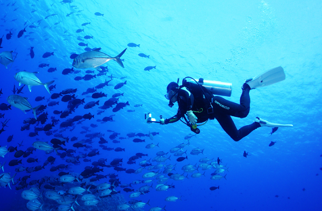 코타키나발루 가야섬 & 사피섬 호핑투어 (해양 스포츠 패키지)
